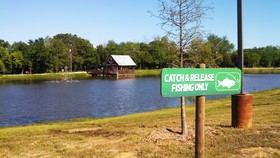Rustic Creek Ranch Resort
