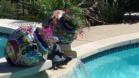 Beth & Bella Tx Concierge
