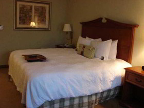 Hampton Inn & Suites College Station/US 6-East Bypass