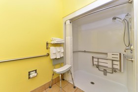 Microtel Inn & Suites by Wyndham Ft. Worth North/At Fossil
