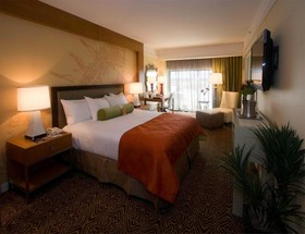 Hilton University of Houston