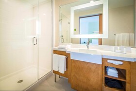 SpringHill Suites by Marriott Houston Westchase