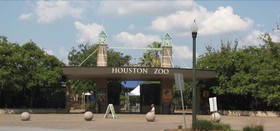 The Reside