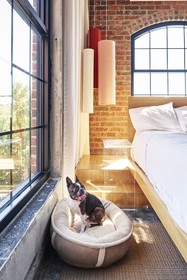 NYLO Las Colinas Hotel, Tapestry Collection by Hilton