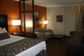 Best Western Plus Lubbock Windsor Inn