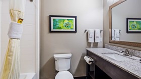 Best Western Plus Tech Medical Center Inn