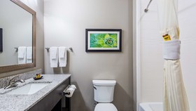 Best Western Plus Tech Medical Center Inn
