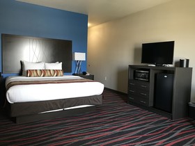 Best Western Plus Tech Medical Center Inn