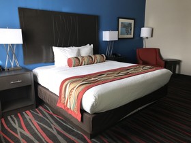 Best Western Plus Tech Medical Center Inn
