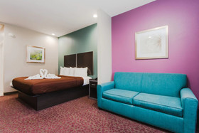 Express Inn-Spring