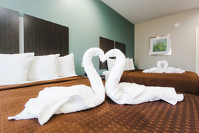 Express Inn-Spring