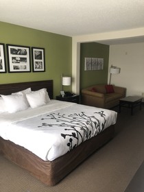 Sleep Inn & Suites Virginia Horse Center