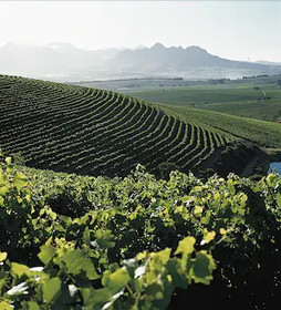 Jordan Wine Estate Luxury Suites
