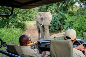 Thula Thula Exclusive Private Game Reserve & Lodge