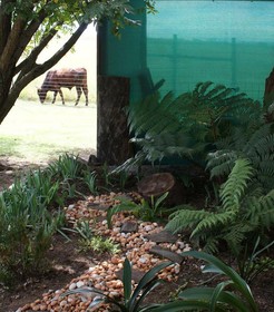 Mountain View Guest House
