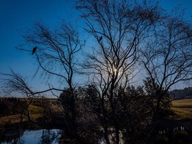 Springholm