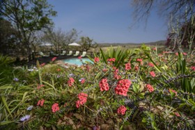Abangane Guest Lodge