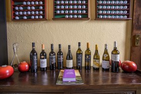 Abangane Guest Lodge