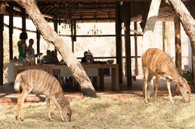 Moditlo River Lodge