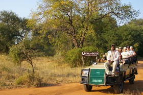 Mohlabetsi Safari Lodge
