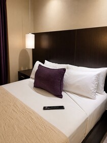 Howard Johnson Plaza by Wyndham Buenos Aires Florida Street