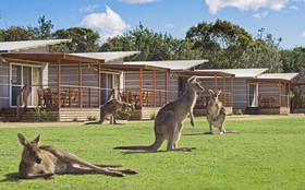 Pambula Beach Holiday & Caravan Park