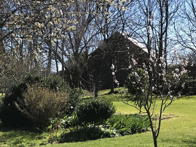 Somerset Beachside Cabin and Caravan Park