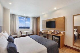 Windsor Excelsior