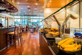 Hotel Plaza El Bosque Ebro
