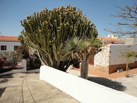 Casa La Musa