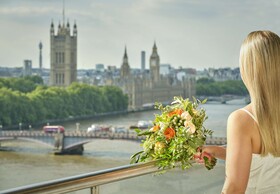 Park Plaza London Riverbank