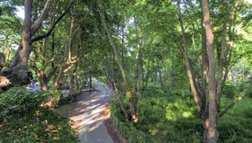 Sintrivanis Beach Hotel