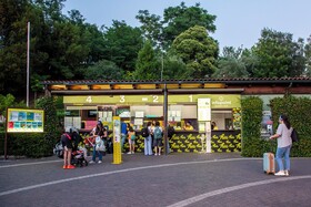 hu Roma Camping In Town