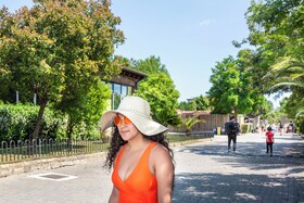 hu Roma Camping In Town