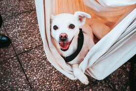 Ostello Bello Grande