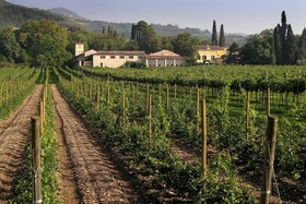 Foresteria Serego Alighieri