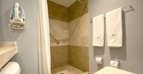 MX fórum buenavista