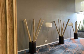 MX fórum buenavista