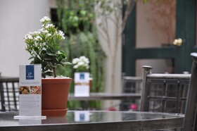 LP Los Portales Hotel