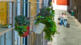 Duque's Apartments