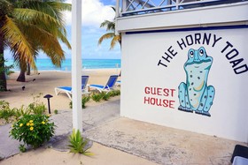 The Horny Toad Guesthouse