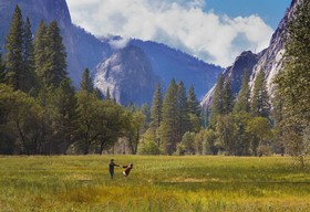 Best Western Plus Yosemite Gateway Inn