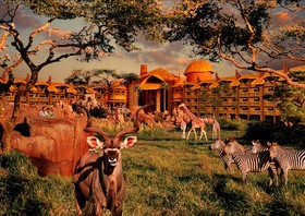 Disney's Animal Kingdom Kidani Village