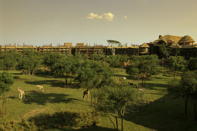 Disney's Animal Kingdom Villas - Kidani Village