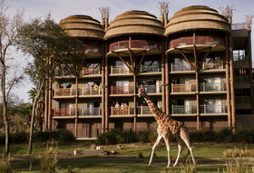 Disney's Animal Kingdom Villas -Jambo House