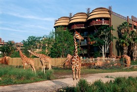 Disney's Animal Kingdom Villas -Jambo House