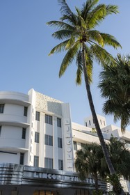The Ritz-Carlton South Beach