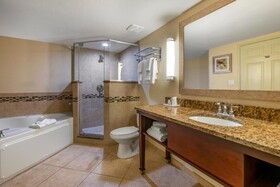 Holiday Inn Resort Orlando Lake Buena Vista