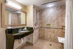 Holiday Inn Resort Orlando Lake Buena Vista