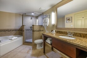 Holiday Inn Resort Orlando Lake Buena Vista